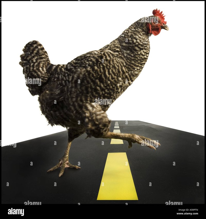 Best chicken road online in Spain